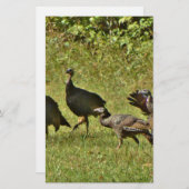 Wild Turkey, Camouflage colors (Front/Back)