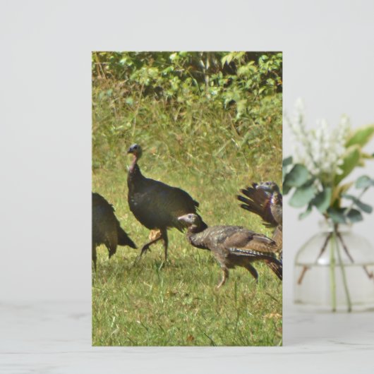 Wild Turkey, Camouflage colors (Standing Front)
