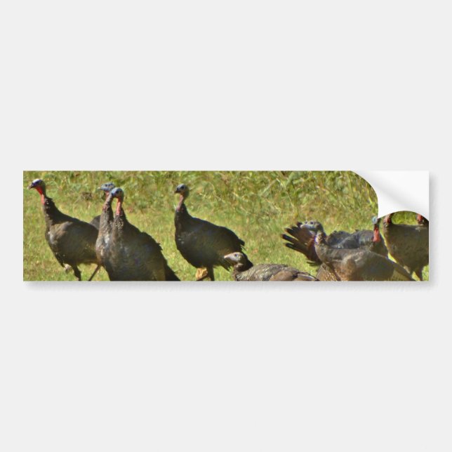 Wild Turkey, Camouflage colors Bumper Sticker (Front)