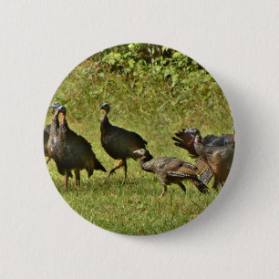 Wild Turkey, Camouflage colors Button
