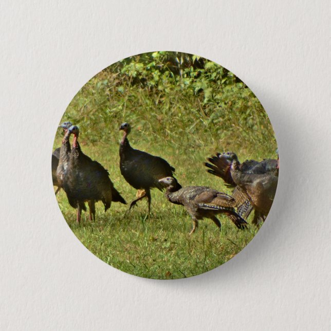 Wild Turkey, Camouflage colors Button (Front)