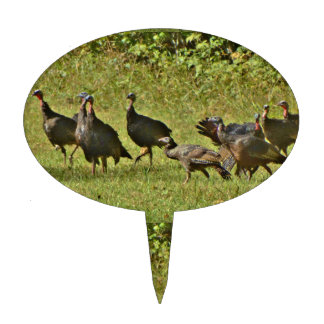Wild Turkey, Camouflage colors Cake Topper