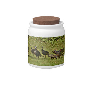 Wild Turkey, Camouflage colors Candy Jar