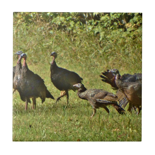 Wild Turkey, Camouflage colors Ceramic Tile (Front)