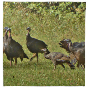 Wild Turkey, Camouflage colors Cloth Napkin