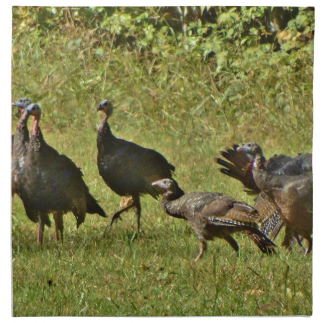 Wild Turkey, Camouflage colors Cloth Napkin (Front)