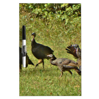 Wild Turkey, Camouflage colors Dry-Erase Board