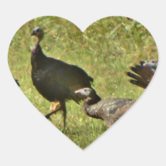 Wild Turkey, Camouflage colors Heart Sticker