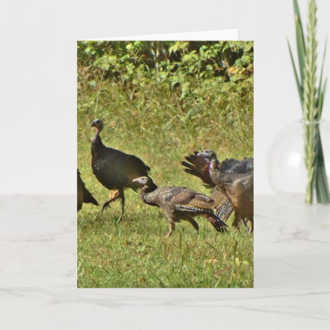 Wild Turkey, Camouflage colors Holiday Card (Front)