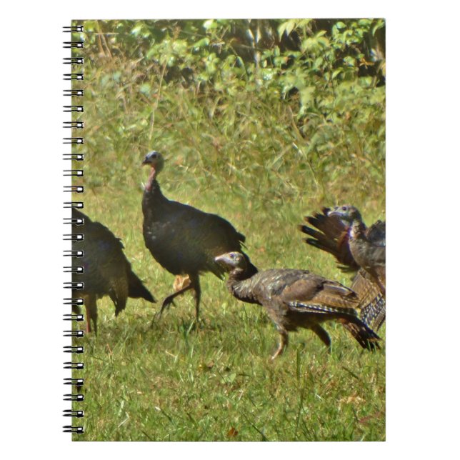Wild Turkey, Camouflage colors Notebook (Front)