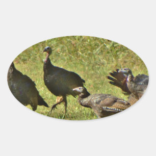 Wild Turkey, Camouflage colors Oval Sticker