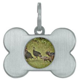Wild Turkey, Camouflage colors Pet ID Tag