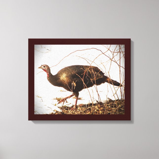 Wild Turkey Canvas Print (Front)