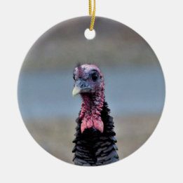 Wild Turkey Ceramic Ornament