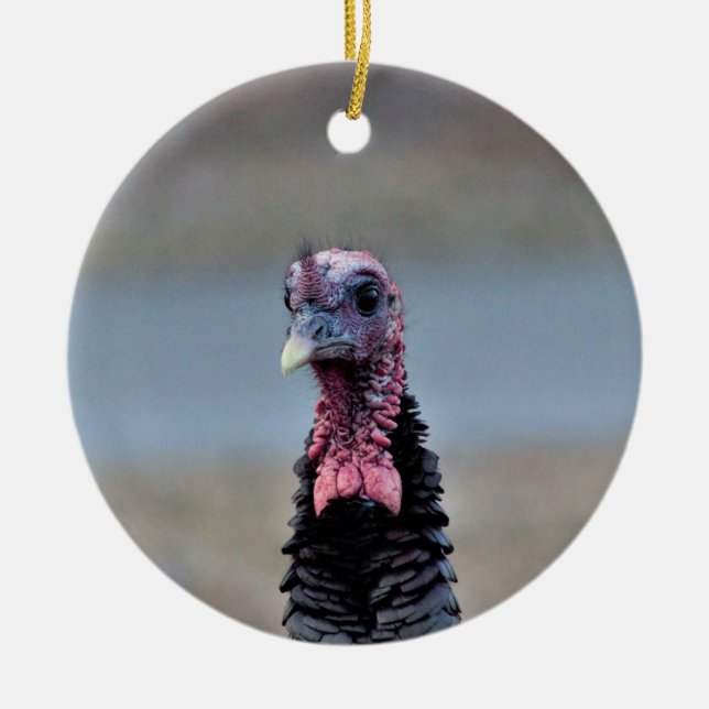 Wild Turkey Ceramic Ornament (Front)