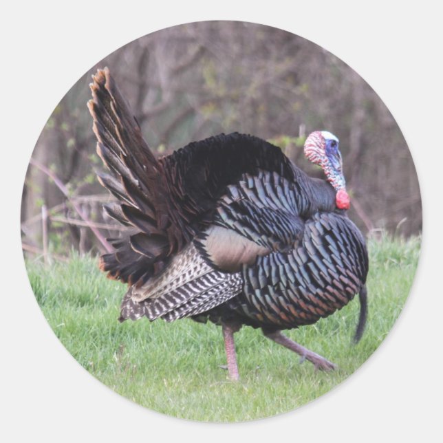 Wild Turkey Classic Round Sticker (Front)