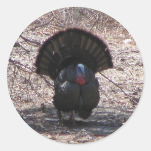 Wild Turkey Classic Round Sticker