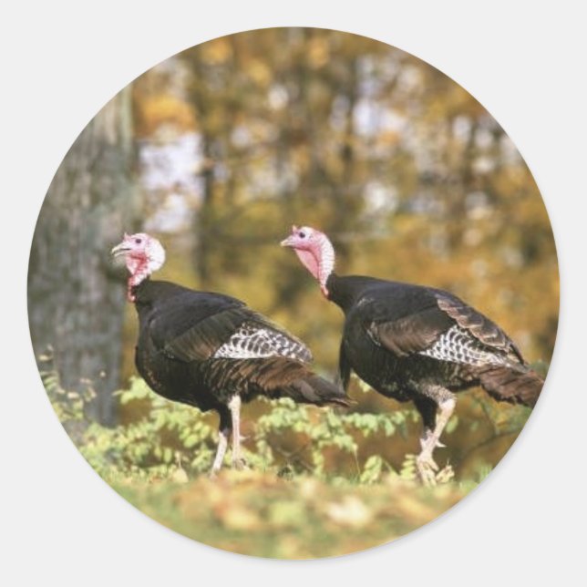 Wild turkey classic round sticker (Front)