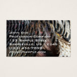 Wild Turkey Feathers I Abstract Nature Design