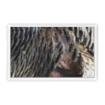Wild Turkey Feathers I Abstract Nature Design Acrylic Tray