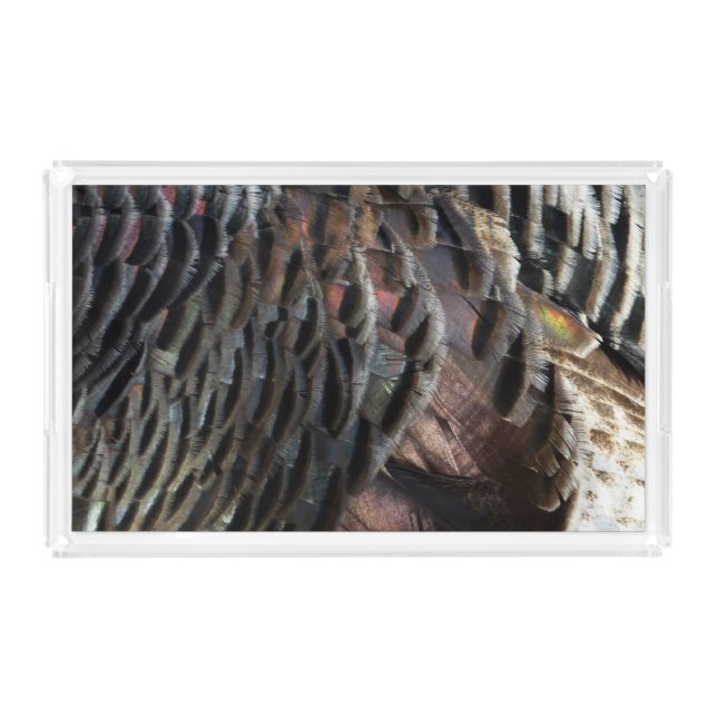 Wild Turkey Feathers I Abstract Nature Design Acrylic Tray (Front)