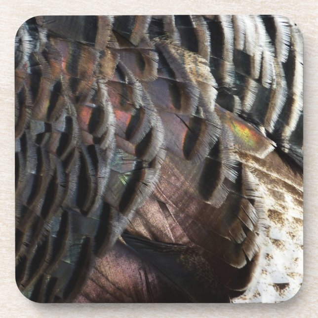 Wild Turkey Feathers I Abstract Nature Design Beverage Coaster (Front)