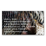 Wild Turkey Feathers I Abstract Nature Design Business Card Magnet