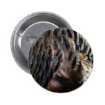 Wild Turkey Feathers I Abstract Nature Design Button