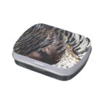 Wild Turkey Feathers I Abstract Nature Design Candy Tin
