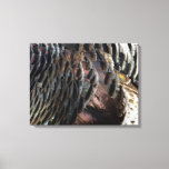 Wild Turkey Feathers I Abstract Nature Design Canvas Print