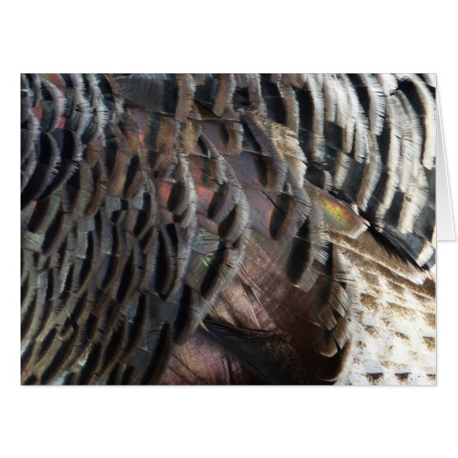 Wild Turkey Feathers I Abstract Nature Design Card (Front Horizontal)