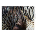 Wild Turkey Feathers I Abstract Nature Design Cards