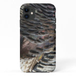 Wild Turkey Feathers I Abstract Nature Design iPhone 11 Case