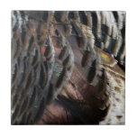 Wild Turkey Feathers I Abstract Nature Design Ceramic Tile