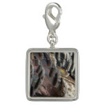 Wild Turkey Feathers I Abstract Nature Design Charm
