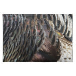 Wild Turkey Feathers I Abstract Nature Design Cloth Placemat