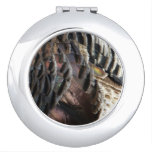 Wild Turkey Feathers I Abstract Nature Design Compact Mirror
