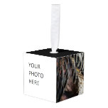 Wild Turkey Feathers I Abstract Nature Design Cube Ornament