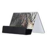 Wild Turkey Feathers I Abstract Nature Design Desk Business Card Holder