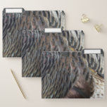 Wild Turkey Feathers I Abstract Nature Design File Folder