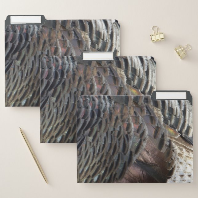 Wild Turkey Feathers I Abstract Nature Design File Folder (Set)