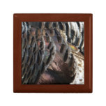 Wild Turkey Feathers I Abstract Nature Design Gift Box