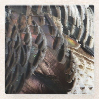 Wild Turkey Feathers I Abstract Nature Design Glass Coaster