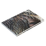 Wild Turkey Feathers I Abstract Nature Design Guest Book