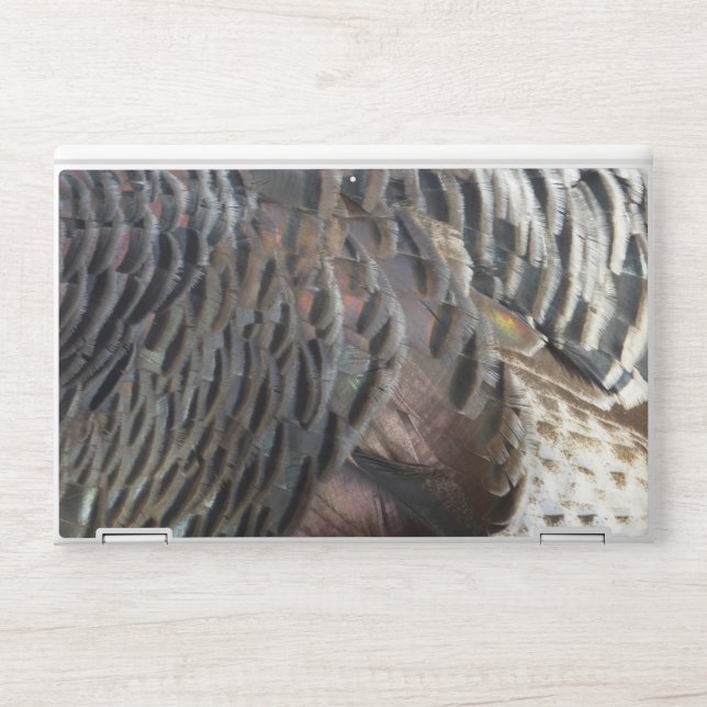 Wild Turkey Feathers I Abstract Nature Design HP Laptop Skin (Front)
