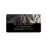 Wild Turkey Feathers I Abstract Nature Design Label