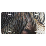 Wild Turkey Feathers I Abstract Nature Design License Plate