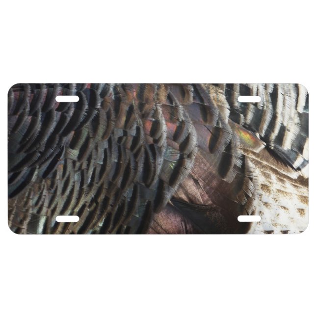 Wild Turkey Feathers I Abstract Nature Design License Plate (Front)