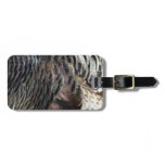 Wild Turkey Feathers I Abstract Nature Design Luggage Tag