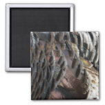 Wild Turkey Feathers I Abstract Nature Design Magnet